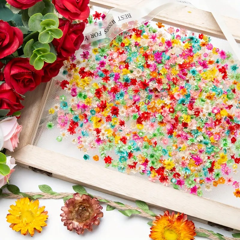 Resin Art Earrings Design - ดอกไม้ประดิษฐ์คลาสสิกสำหรับงานฝีมือ - ดอกไม้แห้งแท้สำหรับงานเรซิ่น ศิลปะเล็บ ต่างหู และทำสบู่