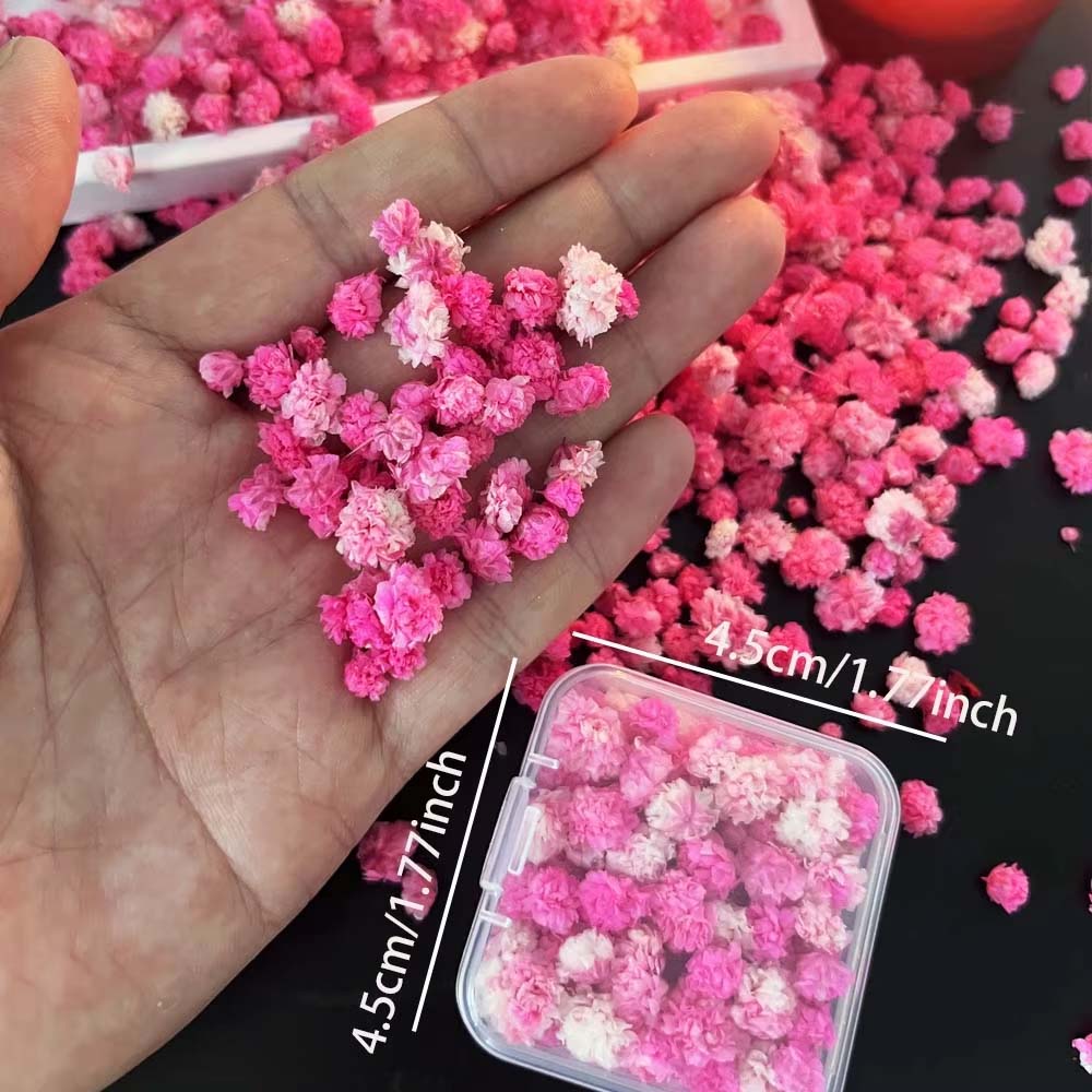 ดอกไม้แห้งผสมสำหรับงานฝีมือ 1  - Resin Art Earrings Design บทวิจารณ์และราคา