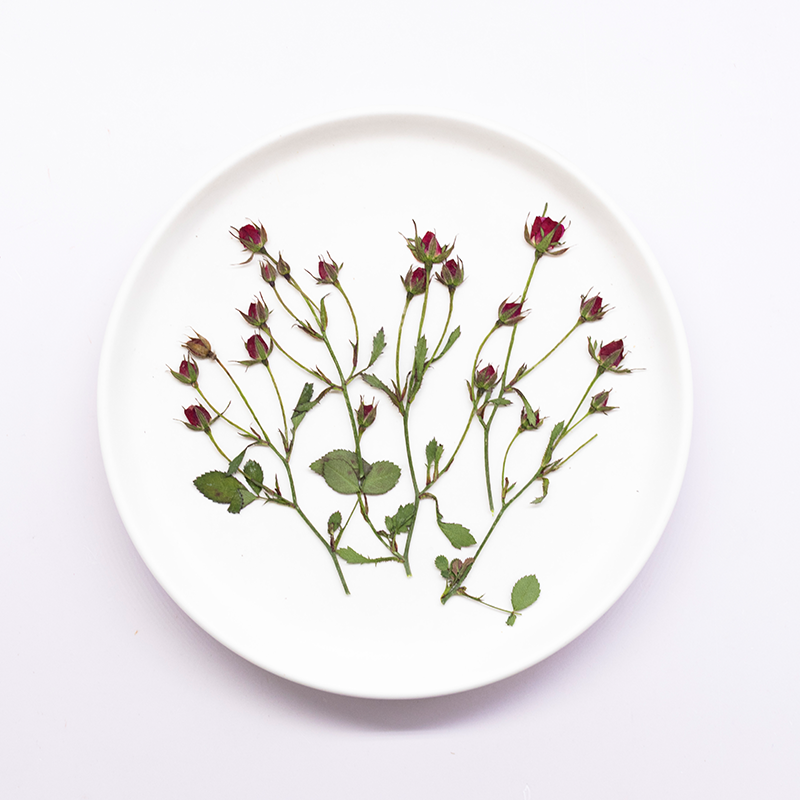 ดอกกุหลาบแห้ง 12 ชิ้น ก้านดอกห - Resin Art Of Rose บทวิจารณ์และราคา
