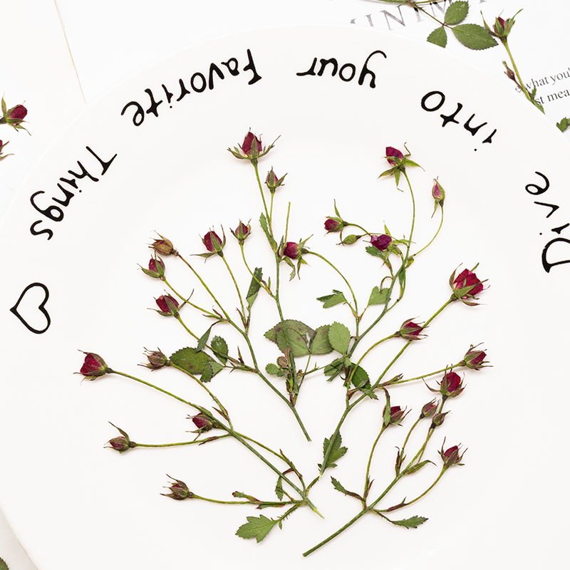ดอกกุหลาบแห้ง 12 ชิ้น ก้านดอกห - Resin Art Of Rose บทวิจารณ์และราคา